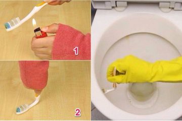 Bàn chải đánh răng cũ chớ vội vứt đi, để lại làm những mẹo cực kì hữu ích này