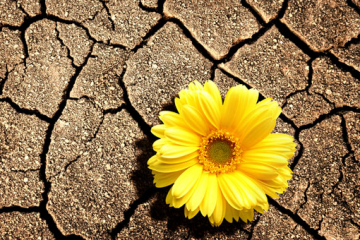 Khô hạn tuổi 30 và bí quyết giữ lửa cho hạnh phúc gia đình