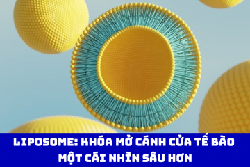 Liposome: Khóa mở cánh cửa tế bào – Một cái nhìn sâu hơn